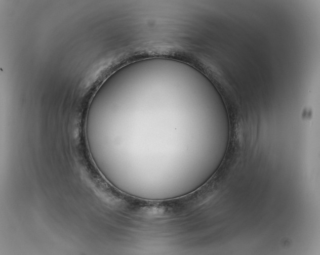 X0000113580687200910091502