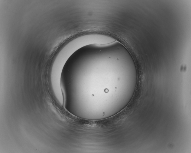 X0000113580688200910091502