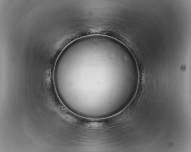 X0000113580691200910091502