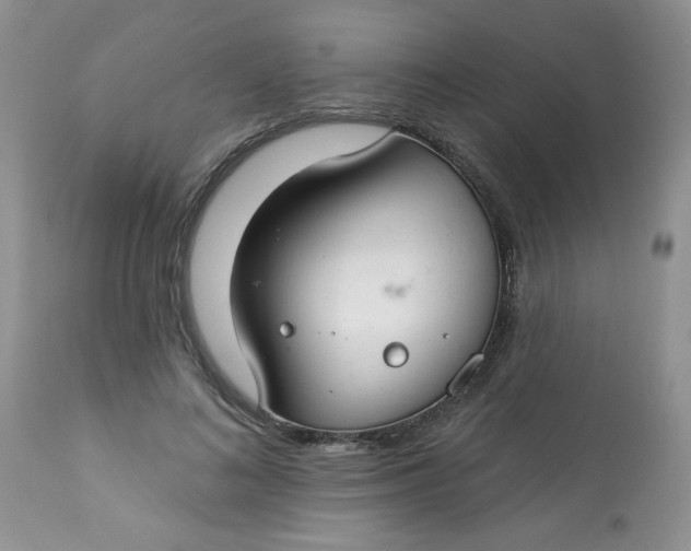 X0000113580692200910091502