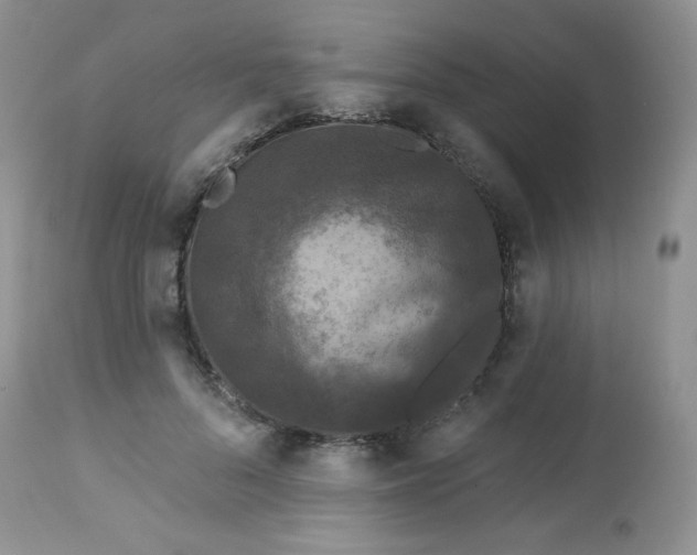 X0000113580696200910091502