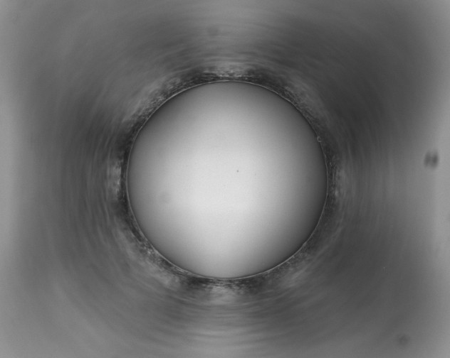 X0000113580697200910091502