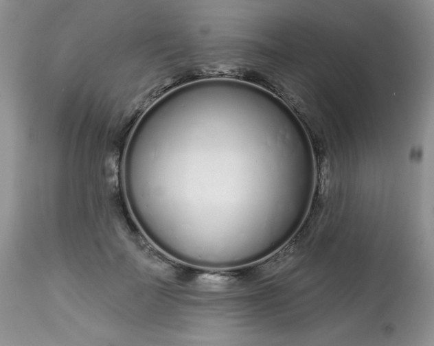 X0000113580699200910091502