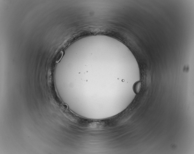 X0000113580700200910091502