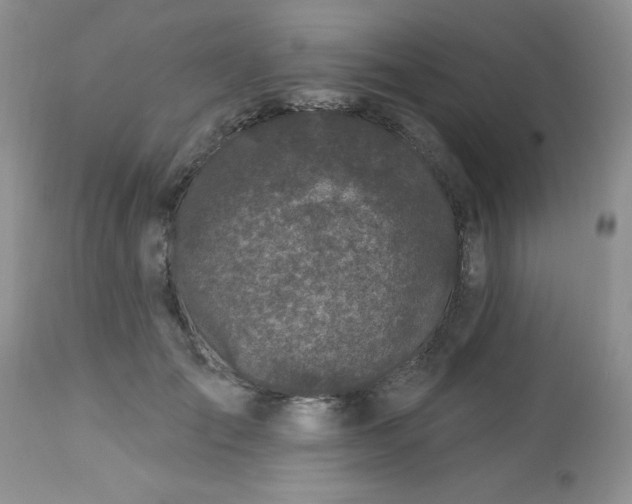 X0000113580701200910091502