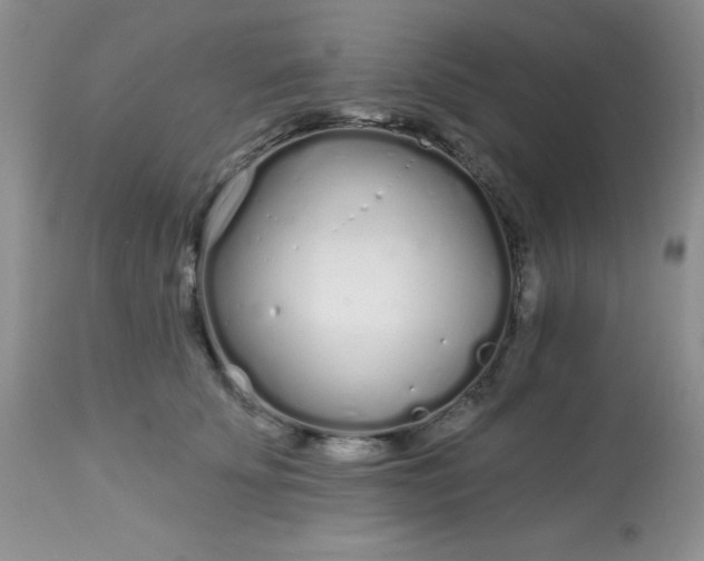 X0000113580707200910091502