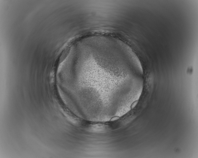 X0000113580708200910091502