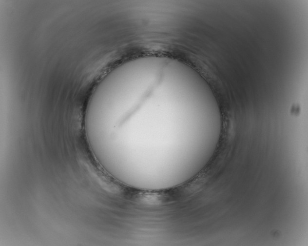 X0000113580710200910091502