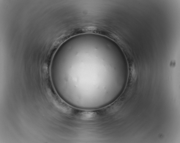 X0000113580711200910091502