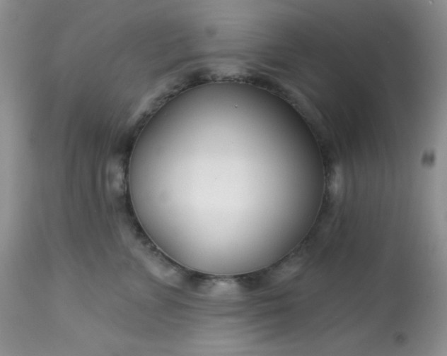 X0000113580715200910091502