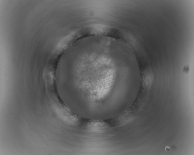 X0000113580716200910091502