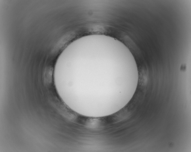 X0000113580717200910091502