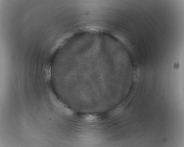 X0000113580718200910091502