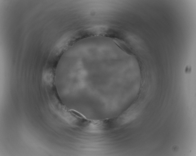 X0000113580720200910091502