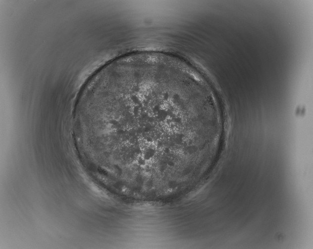 X0000113580721200910091501