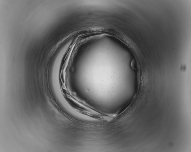 X0000113580722200910091501