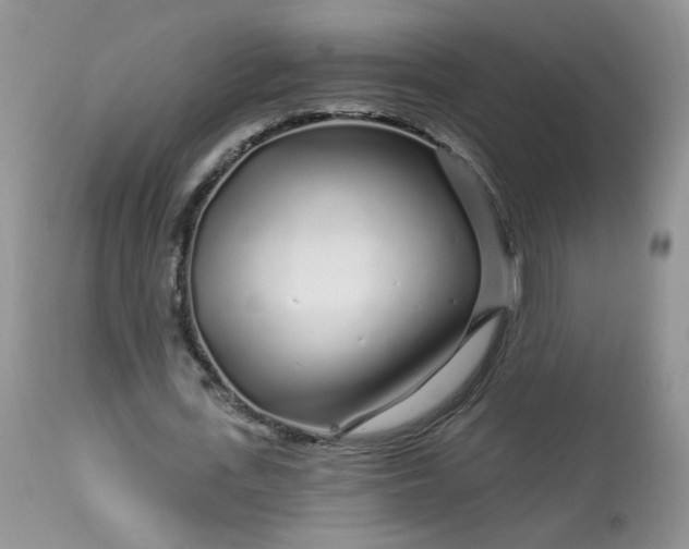 X0000113580723200910091501