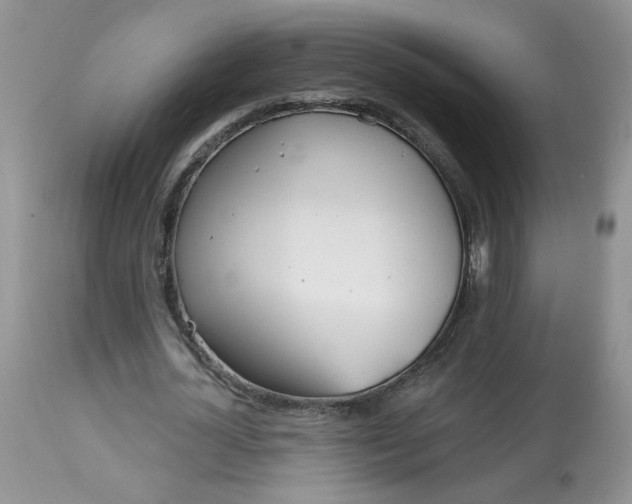 X0000113580724200910091501