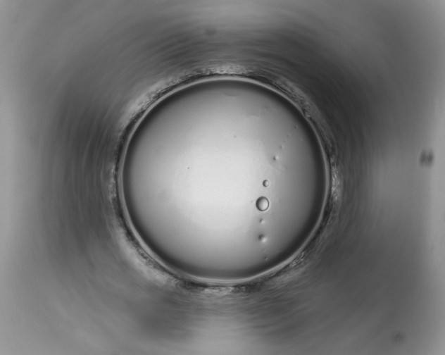 X0000113580725200910091501