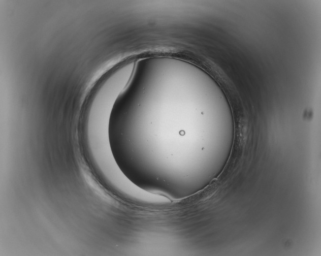 X0000113580726200910091501