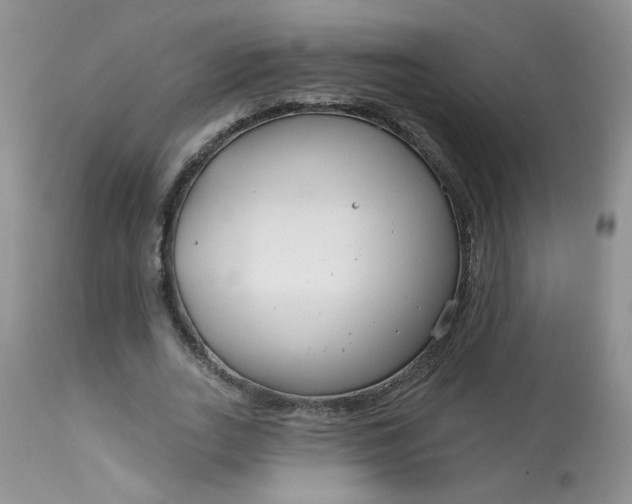 X0000113580727200910091501