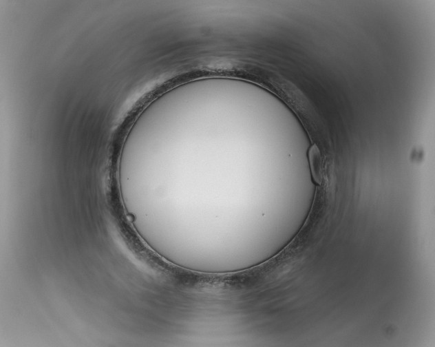 X0000113580728200910091501