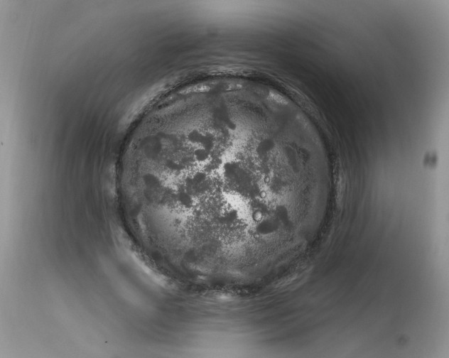 X0000113580729200910091501