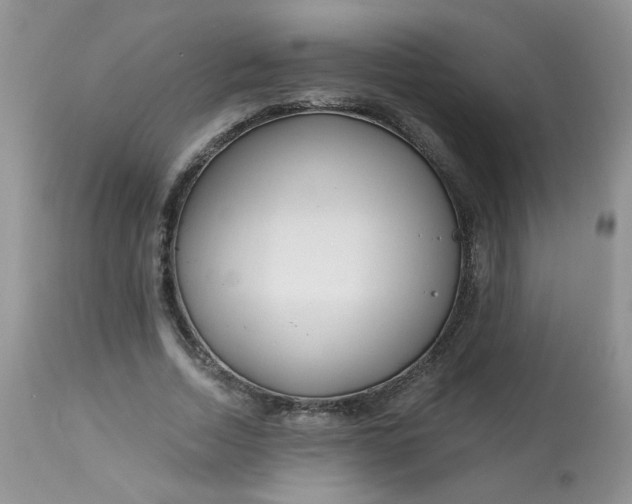 X0000113580730200910091501