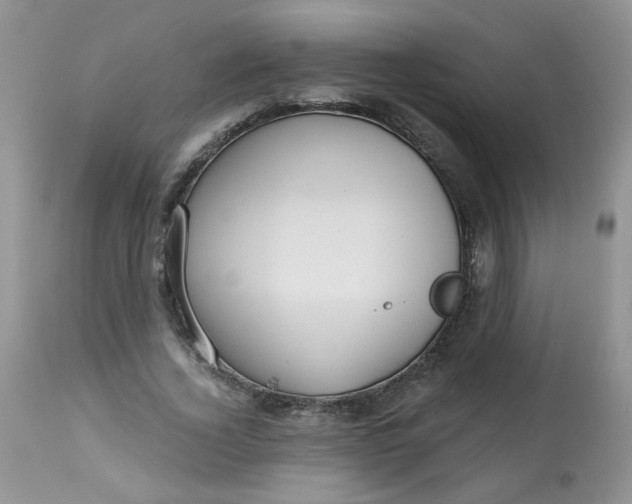 X0000113580732200910091501