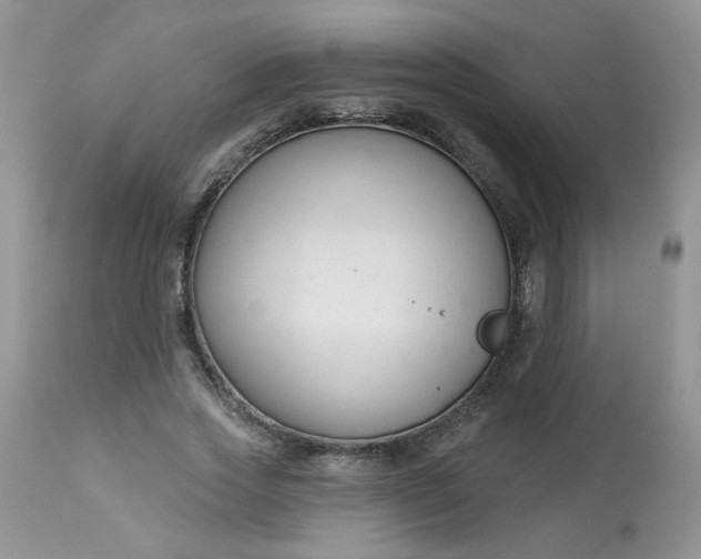 X0000113580733200910091501