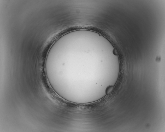 X0000113580736200910091501