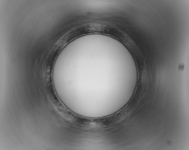 X0000113580737200910091501