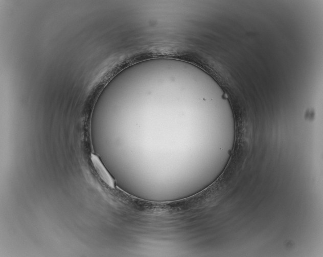 X0000113580738200910091501