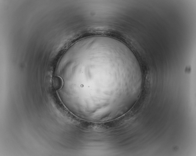 X0000113580739200910091501