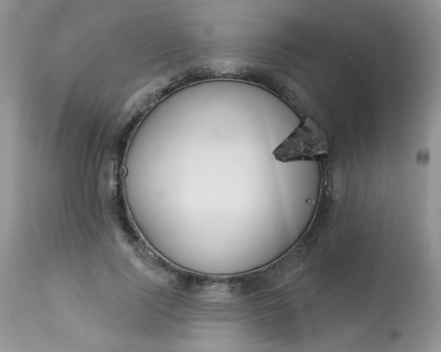 X0000113580740200910091501