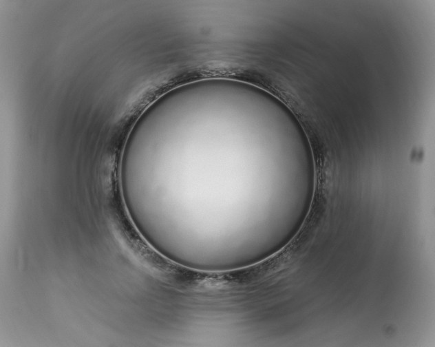 X0000113580742200910091501