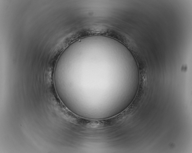 X0000113580745200910091501