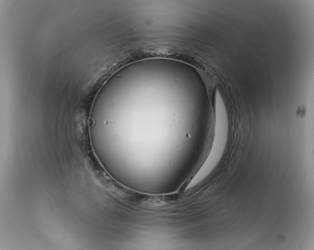 X0000113580747200910091501