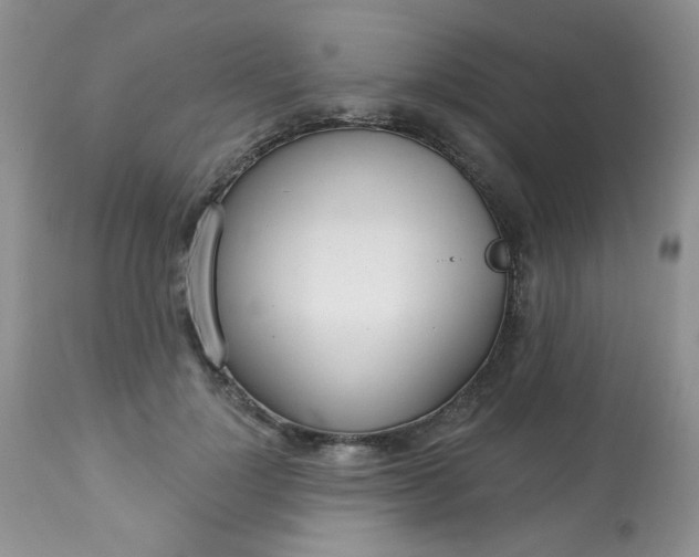 X0000113580748200910091501