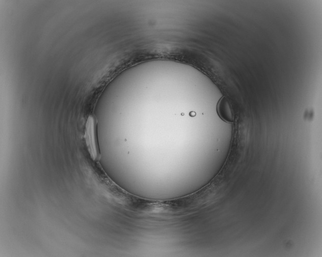 X0000113580750200910091502