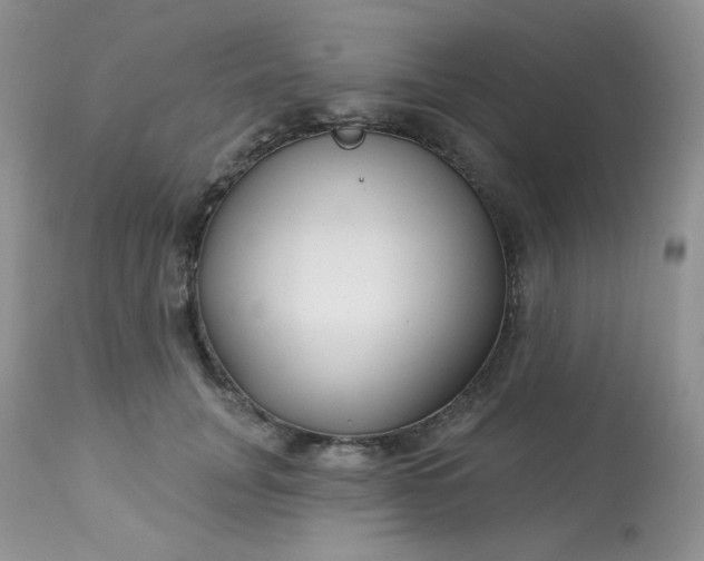 X0000113580751200910091502