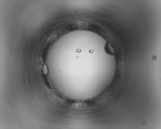 X0000113580752200910091502