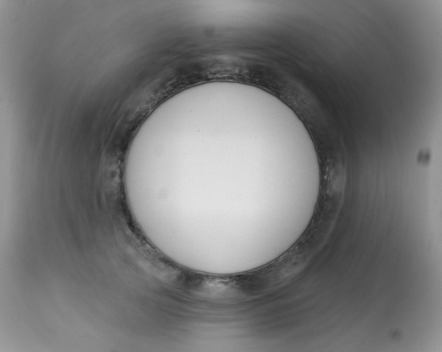 X0000113580753200910091502