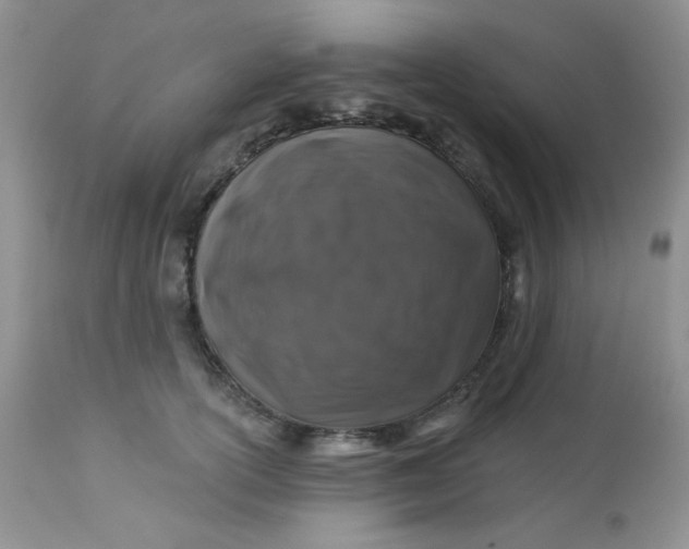 X0000113580754200910091502