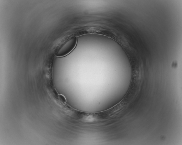 X0000113580755200910091502