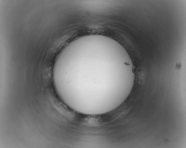 X0000113580756200910091502