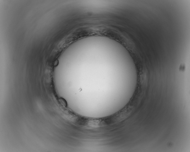 X0000113580757200910091502