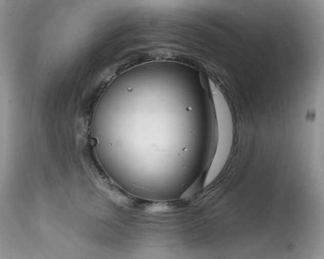 X0000113580759200910091502