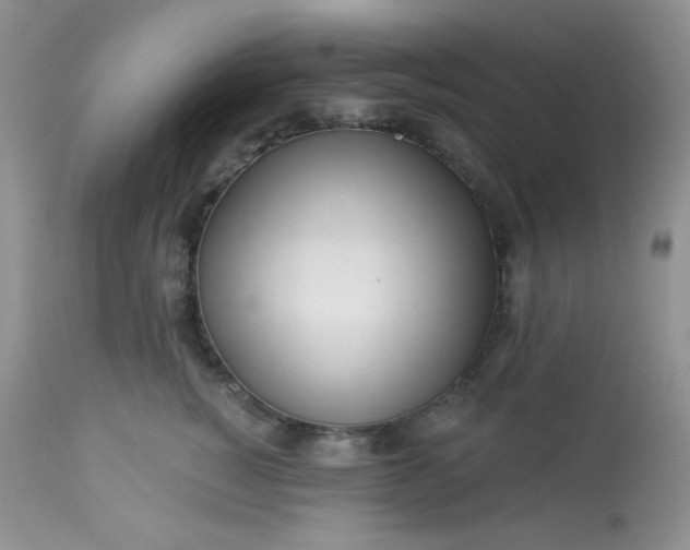 X0000113580760200910091502