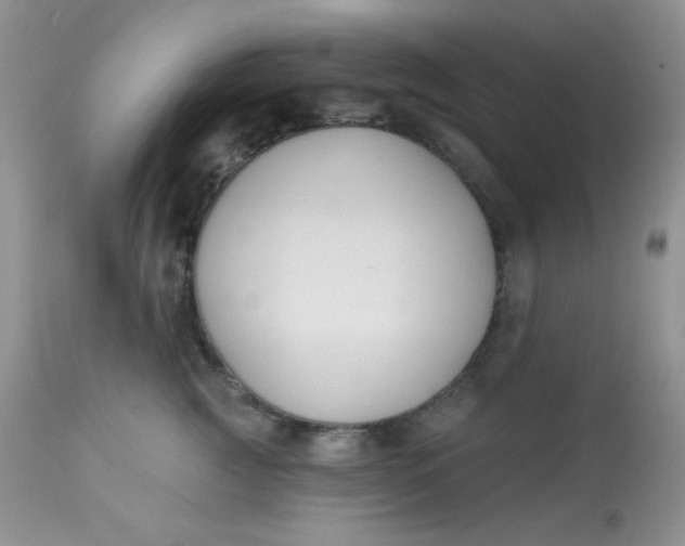 X0000113580761200910091502